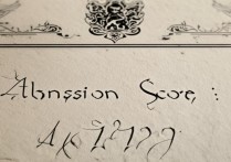 2023年哪个大学本科录取分数线高达419分？