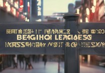 北京语言大学在广西录取分数线是多少？