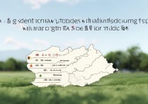 黑龙江有哪些专科学校100分即可录取？详细盘点热门院校名单