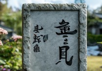 带虎字的四字成语