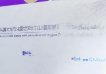 沈阳大学专业录取查询怎么查？沈阳大学各专业录取分数线是多少