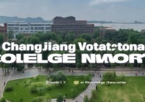 长江职业学院网络系统存在哪些潜在问题或安全隐患？