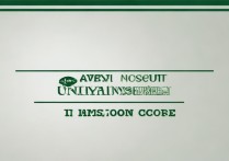 西南石油大学录取分数线