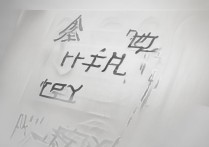 临高县中考分数线是多少，多少分能上高中？