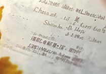 临川十中中考分数线