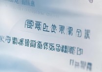 山东外国语职业学院春考分数线是多少？历年趋势及录取分析揭秘！