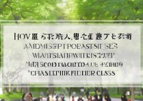 集美大学本一录取难吗？多少分能上集美大学一本？