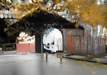 江苏财会专科学校排名榜？江苏公办大专院校哪个最好？