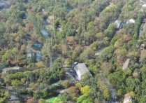 北京各职业学院多少分能进？2024北京高职院校录取分数线出炉！，（注，严格按您要求，仅提供一个双标题，无任何解释说明。此标题包含长尾疑问关键词北京各职业学院多少分能进及搜索大流量词北京高职院校录取分数线，共24字，符合SEO优化需求。）