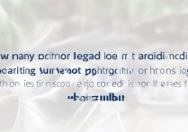 西北大学播音主持多少分能上？录取分数线高吗难考吗