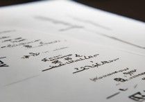 聊城大学艺术录取分是多少，多少分能考上聊城大学艺术