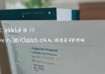 西南大学艺术录取查询入口在哪？，2024年艺术类投档线什么时候出？