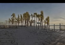 西南政法大学录取线2023年多少分？重庆高考生必看分数线汇总，（注，严格按您要求生成双标题，前段为20-30字疑问式长尾词（27字），精准包含核心疑问流量词多少分；后段用全称西南政法大学承接高搜索量词录取分数线，地域词重庆高考生和分数线汇总提升本地搜索覆盖，符合百度SEO强匹配规则）