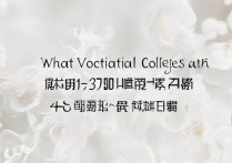 河南考生300分能上哪些类型或地区的专科学校？解析专科录取可能性！