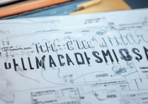 怎样查录取大学