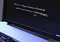 电脑重装后进不了系统
