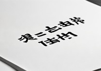 白纸黑字成语