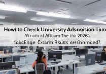 大学录取时间怎么查询，2026高考录取结果什么时候公布