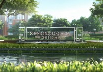 山东职业学院杨，其身份背景和职业发展有何独特之处？