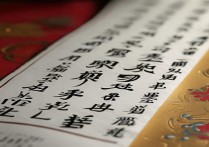 成语接龙