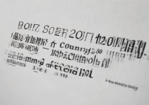 2017沈丘县二高分数线