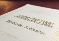 郑州大学美术录取标准是什么？有哪些专业和录取流程？