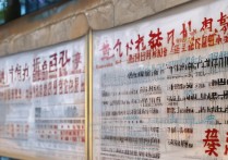 重庆大学录取结果查询，如何快速准确获取我的录取信息？