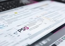 wps网页