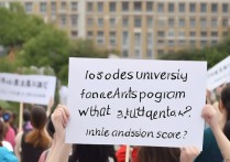 集美大学美术怎么录取，集美大学美术录取分数线是多少