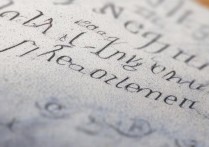 河北单招补录政策详解，是否允许补录及具体流程疑问解答