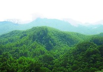 天津多少大学录取？天津各大学录取分数线是多少