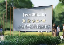 江苏大学美术录取原则是什么，多少分能考上？