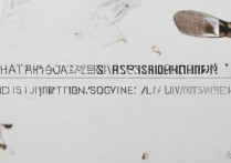 八一农垦大学录取分数线是多少？八一农垦大学录取查询时间