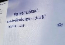 怎样查梅西大学录取结果，申请状态查询入口在哪里