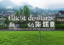 四川高考低分考生，有哪些二本、三本及专科院校可就读？