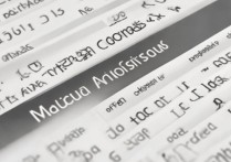 鲁东大学历年录取分数线是多少，往年最低多少分能上