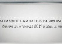 2017年四川外国语成都学院分数线为何如此波动？背后原因揭秘！