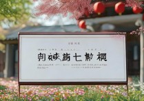 山东春季高考成绩不佳，还有哪些二本及以下院校可选择？