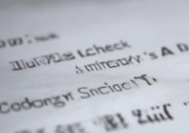 鲁东大学怎么查录取？2024鲁东大学录取查询入口官网