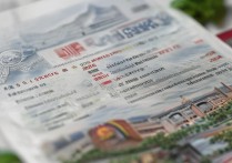 重庆大学高考录取计划有哪些？2026年招生人数是多少？