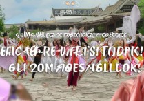 广西舞蹈职业学院怎么样，广西舞蹈职业学院学费多少