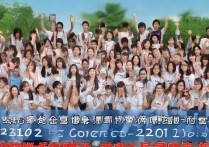 2021山东高考200-300分段，能报考哪些大学及专业？详细解析！