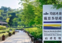 福建幼师专科学校排名如何？福州5年制高职分数线是多少？