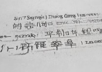 2017高考上海交大分数线