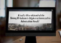 大学录取查询时间北京是什么时候？北京高考录取结果查询时间