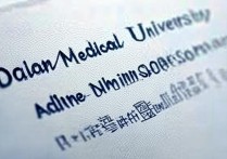大连医科大学录取分数线