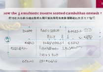 东华大学录取综合分怎么算？2026 年东华大学录取综合分计算公式