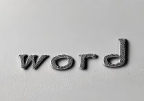 word怎么读