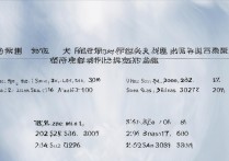 山东轻工职业学院春考分数线是多少？2026 年各专业录取分数及位次查询