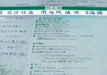 福建专科学校排名如何？工艺美术福建专科学校排名好吗？